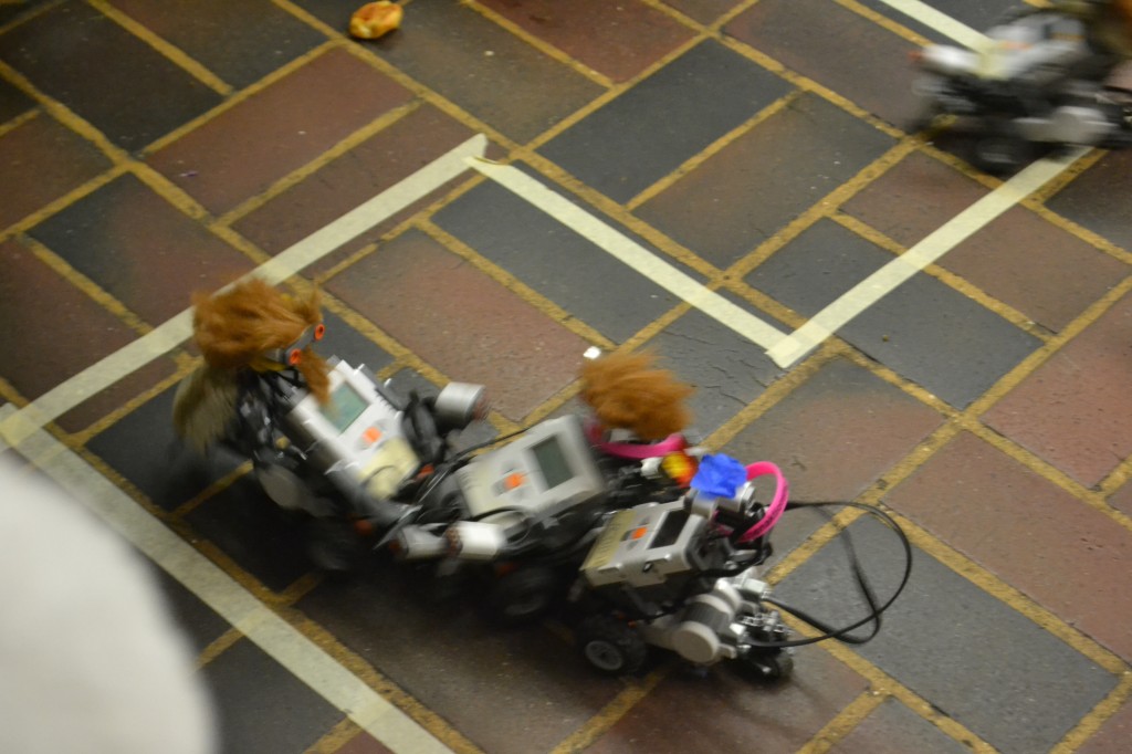 DSC_9754.jpg