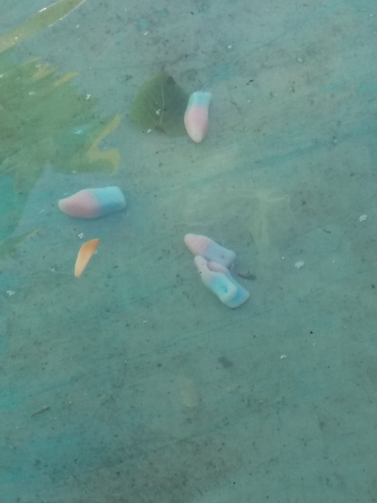 20220611_114802.jpg