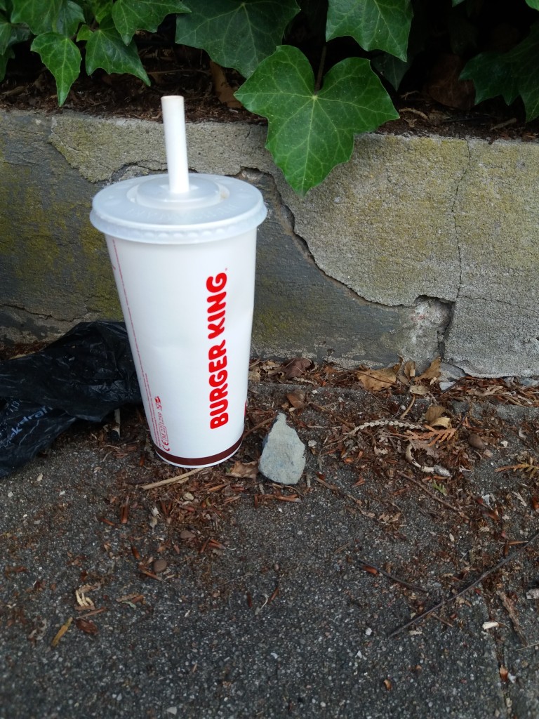 20220611_160645.jpg