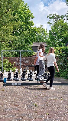 20250517_132030.jpg