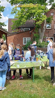 20250517_124546a.jpg