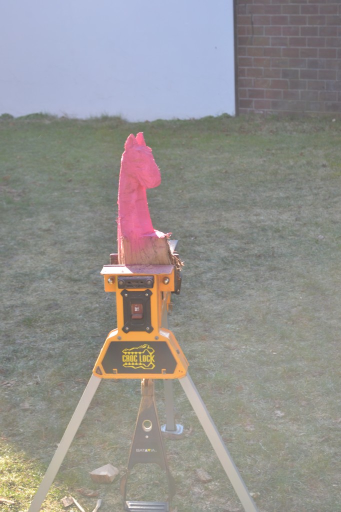 DSC_4007.jpg