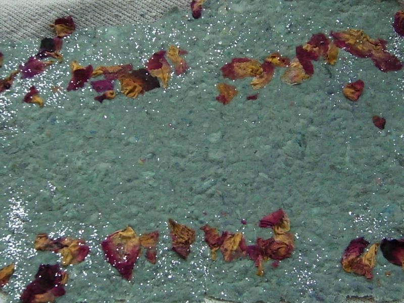 DSCI0309.jpg