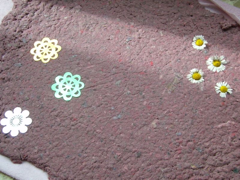 DSCI0310.jpg