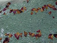 DSCI0309.jpg